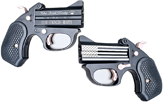 The First Lady (New!)